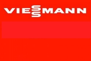 Компания Viessmann продемонстрировала москвичам зеленые техн...