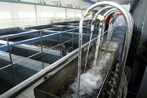 МУП «Ижводоканал» планирует построить и реконструировать бол...