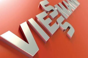 Котельная в частном доме (котел и бойлер Viessmann)