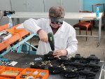 «СибМаш» выводит продукцию омских промышленников на федераль...